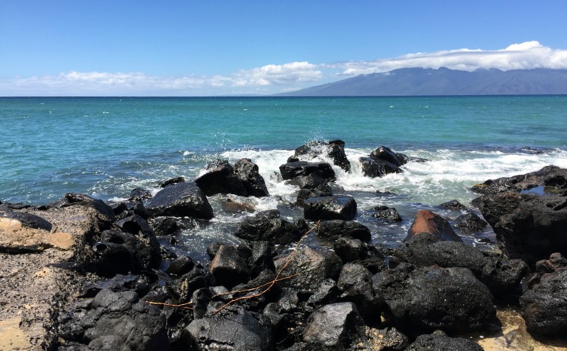 Maui Aquarium