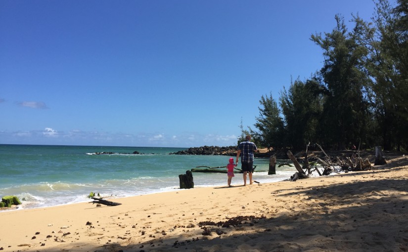 Baldwin Beach near Paia on the north shore of Maui