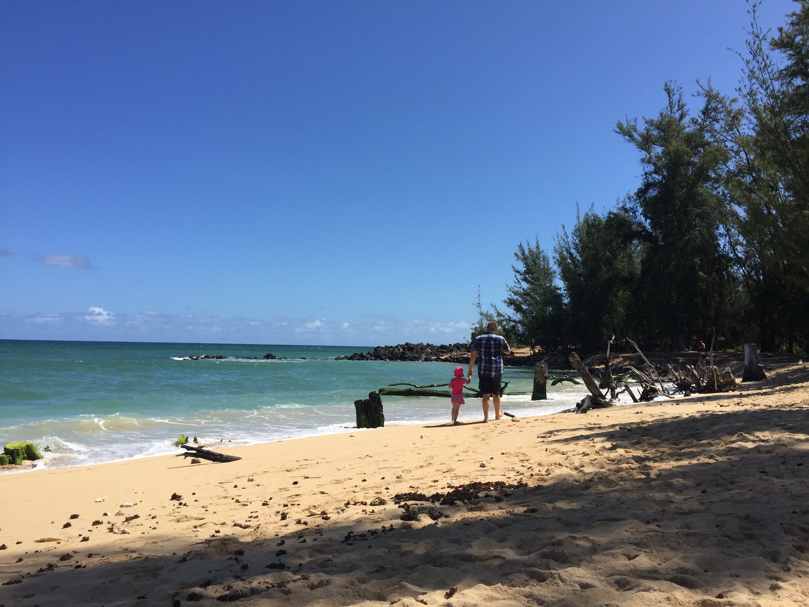 Baldwin Beach near Paia on the north shore of Maui Maui Fun With Kids
